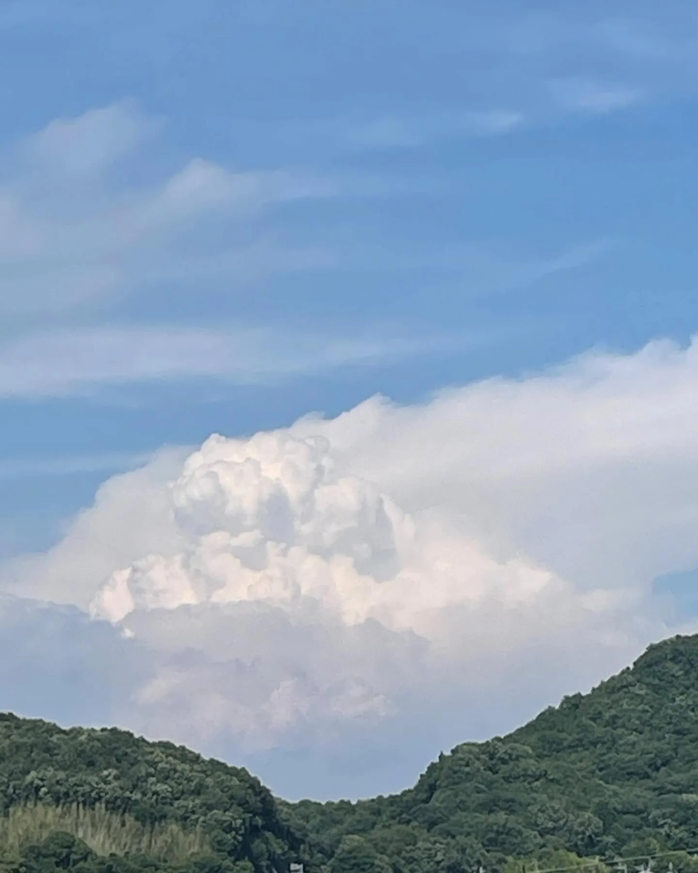 暑い熱い夏がやって来る‼️